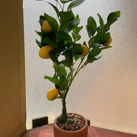 Logis Dore Apartamento *